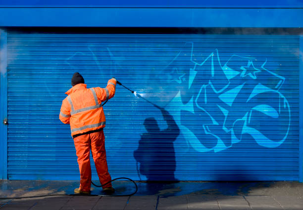 Best Best Pressure Washing Companies  in Holiday Shores, IL