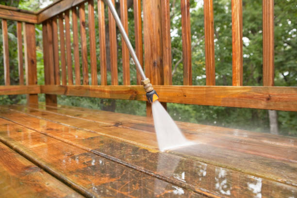 Best Pressure Washing Near Me  in Holiday Shores, IL